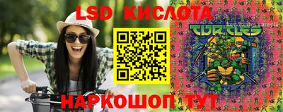 шишки Новодвинск