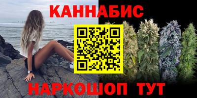 соль ск Новозыбков