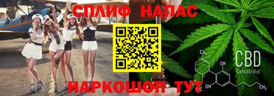 соль ск Новозыбков