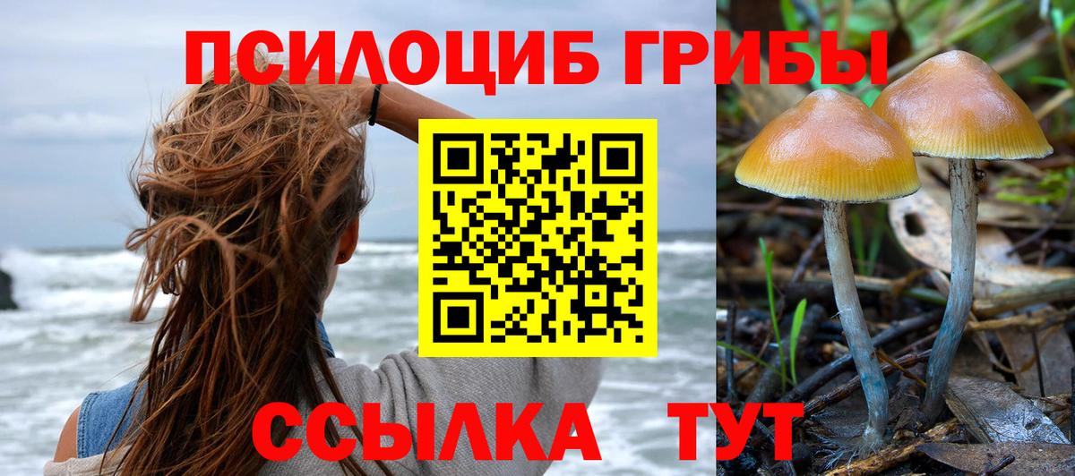 Псилоцибиновые грибы мухоморы  Вход с VPN  Рязань 