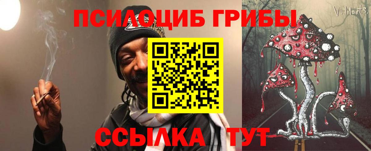 Псилоцибиновые грибы мицелий Рязань